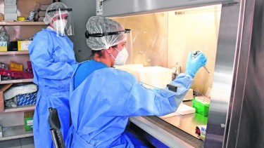 El Laboratorio Central es el que detecta la presencia de variantes de preocupación. (Archivo Florencia Salto)