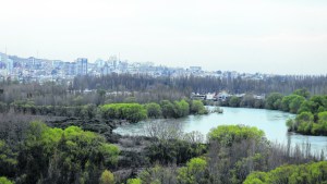 Los ríos, patrimonio natural