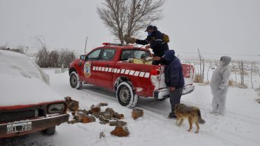 El invierno castiga con gran rigor en la Región Sur rionegrina. Los registros de temperatura alcanzan los 20 grados bajo cero. Foto: José Mellado. 