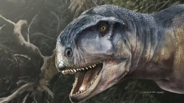 La nueva especie de dinosaurio se llama Llukalkan aliocranianus.Los científicos del Conicet y de la Universidad Nacional del Comahue le pusieron ese nombre porque la primera palabra es un vocablo mapuche que significa el que asusta o causa temor. La segunda palabra en latín hace referencia a un cráneo distinto. Crédito: Jorge Blanco