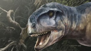 El dinosaurio con “cráneo que causa miedo”: hallan una nueva especie en Neuquén