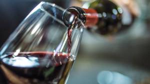 Vinos: el varietal Malbec es el más exportado de Argentina