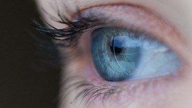 Identificaron mutaciones genéticas asociadas a una severa discapacidad visual hereditaria. Se trata de la retinopatía de Stargardt, cuya incidencia a nivel mundial es de alrededor de un caso cada 10.000 personas. El avance apuntó al desarrollo de terapias personalizadas para estos pacientes y fue liderado por investigadores del Instituto Leloir, del Hospital Garrahan y del CONICET. Piden que más personas con enfermedades poco frecuentes accedan a diagnósticos personalizados