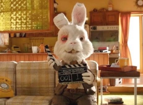Ralph, el conejo que muestra el maltrato animal en la industria cosmética. 