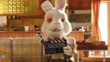 Ralph, el conejo que muestra el maltrato animal en la industria cosmética. 