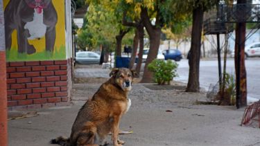 Todavía no terminamos de secarnos de las tormentas. Foto: Florencia Salto.-
