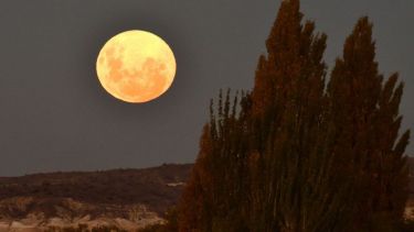 Fotos: Alejandro Carnevale.-