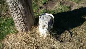 La primera canilla pública de Neuquén se habilitó en 1966