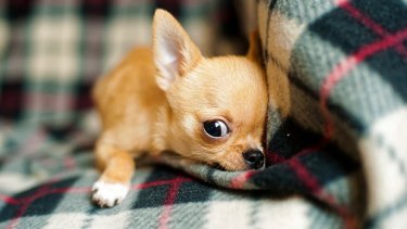 ¡Cómo nos cuesta arrancar el lunes! Pero hay que ponerle entusiasmo.-