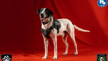 Falopa tendrá que encargarse de detectar cosas de su mismo nombre. Foto: gentileza.-