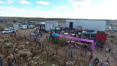 La primera Feria Ovina, Caprina y Bovina de Valcheta fue muy exitosa. Foto: gentileza. 