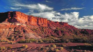 Foto: Alejandro Carnevale.-