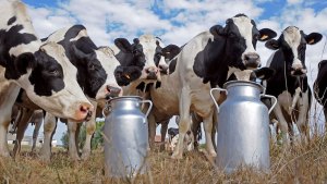 La Peña: el lechero, una tradición que se fue perdiendo en los pueblos