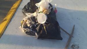 Piden no arrojar residuos domiciliarios en los Puntos Limpios de Regina