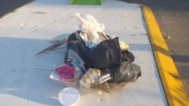 En distintos Puntos Limpios de Regina se encontraron residuos domiciliarios. (Foto gentileza)