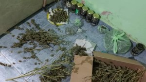Secuestraron 7 kilos de marihuana en dos allanamientos en Villa Regina
