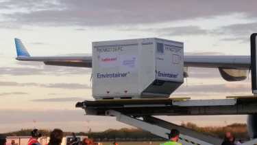 Con este nuevo cargamento de un millón de vacunas Sinopharm, superará los 10 millones de dosis de vacunas arribadas al país. Foto gentileza. 