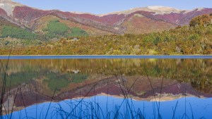 Maravillas de la ruta 40: la Patagonia se refleja en una laguna a 35 km de San Martín de los Andes