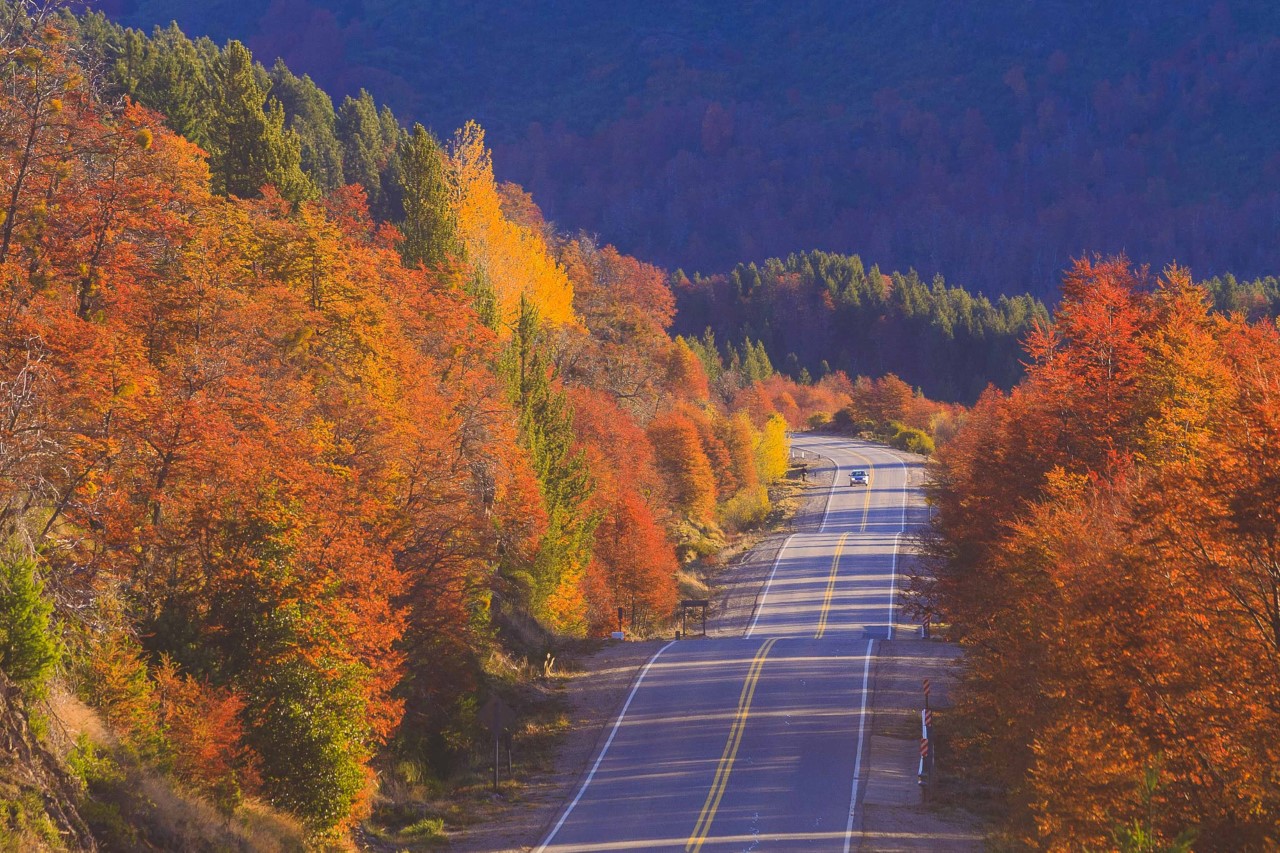 La ruta 40 en otoño. 