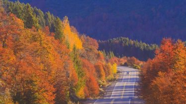Llegó el otoño y estas fotos de San Martín de los Andes te invitan a lo que se viene