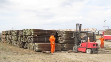 El material se encuentra en la estación Viedma de Tren Patagónico. Foto: gentileza.