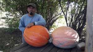 Un vecino de Stefenelli cosechó zapallos gigantes de más de 30 kilos