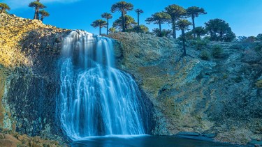 Cascadas y araucarias, la maravillosa combinación de Caviahue Copahue. Foto: Ricardo Kleine Samson 