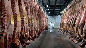 El Gobierno Nacional controlará las exportaciones de carne