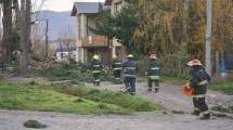 Imagen de Las fuertes ráfagas de viento tiraron árboles y empujaron embarcaciones hacia la costa en San Martín