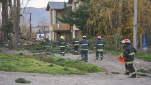 Las fuertes ráfagas de viento tiraron árboles y empujaron embarcaciones hacia la costa en San Martín