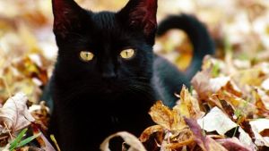 Pronóstico: ¡A abrigarse! Este martes se mantiene soleado pero fresco en la región