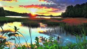 Tenemos más áreas protegidas pero menos biodiversidad