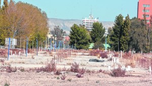 Viviendas para Roca: ¿Quiénes podrán acceder?