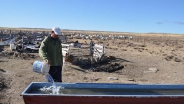 El agua, un elemento vital para la vida, es escasa en muchos campos de la Región Sur. Foto: José Mellado.