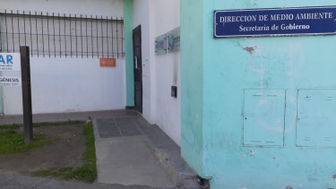 Por el Día Mundial del Reciclaje, invitaron a chicos de Regina a presentar trabajos con material reutilizado.