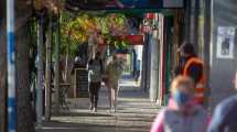 Imagen de Segunda ola en cifras: ¿Por qué Roca está en alto riesgo epidemiológico?