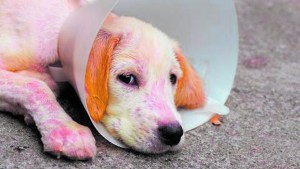 Enfermedades de la piel: causas y tratamientos