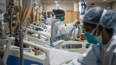 Expertos de India aseguran que el "hongo negro" es un desafío mayor que el covid-19. 