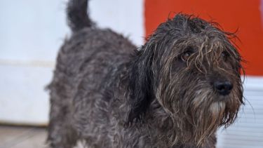 Es día para llevar puesto el abrigo, sin falta. Foto: Florencia Salto.-