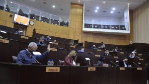 Ley de carrera sanitaria: ATE denunció a diputados por conducta «antisindical»