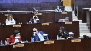 Diputados reclamaron «medidas de fondo» y suspensión de clases en Neuquén