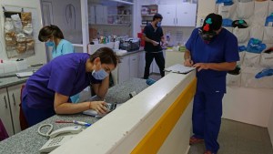 Río Negro registró 89 casos nuevos de coronavirus y un muerto