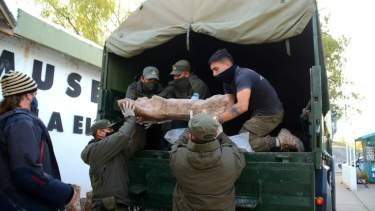 Intervinieron en el traslado personal de Gendarmería, del museo y del laboratorio. Foto: Gentileza Municipalidad de Villa  El Chocón.