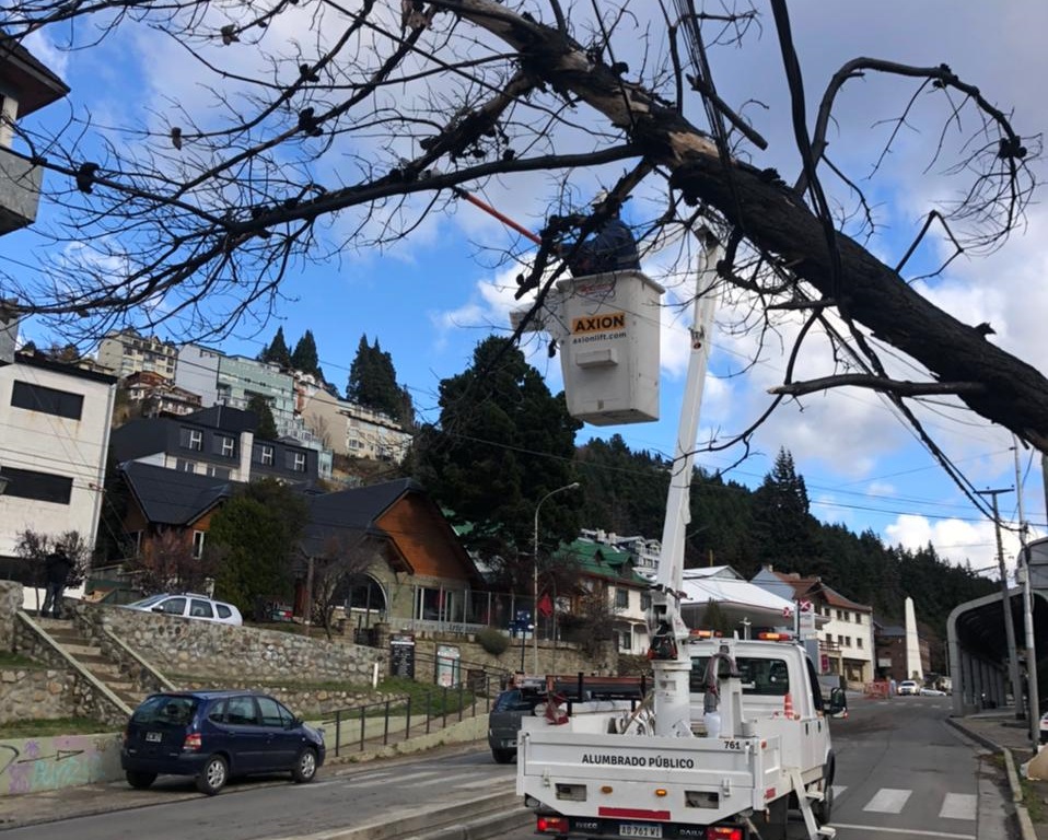 El tendido eléctrico de Bariloche sufrió las consecuencias del intenso viento y la caída de árboles. Gentileza CEB