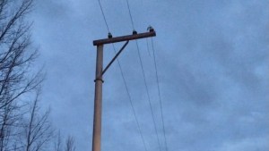 Por un nuevo robo de cables, cientos de vecinos de Roca se quedaron sin energía