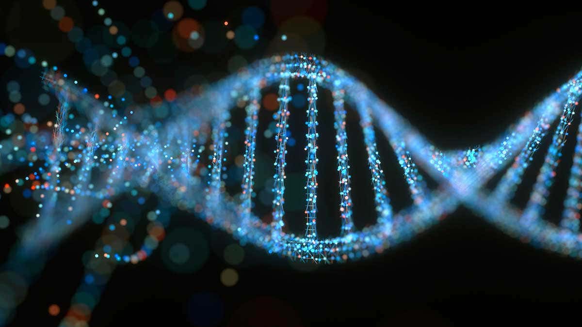 Con el avance de la medicina en los últimos años, cada vez hay más análisis genéticos disponibles, que nos permiten conocernos aún más.