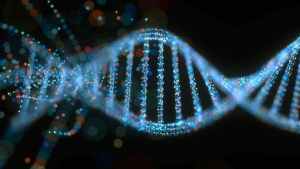 El ADN, una herramienta clave para conocernos mejor