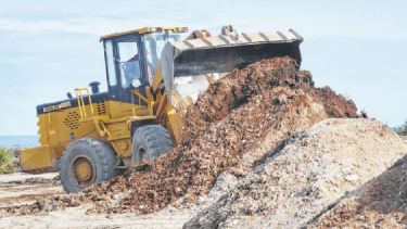 Los langostinos son el principal problema a la hora del tratamiento de los residuos. (foto: Martín Brunella)