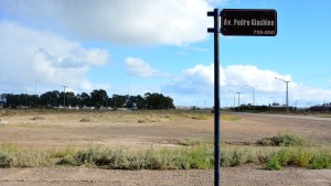 Causa APEL: Río Negro recuperará 36 millones, entre lotes y efectivo