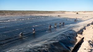 Plan Castello: Quedan 15 millones de dólares para finalizar 16 obras